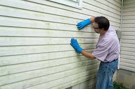 Best Vinyl Siding Installation  in Ninnekah, OK